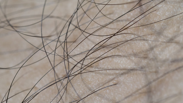 Macro skin and hair of body
