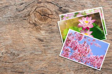 Beautiful flowers photos on old wooden table