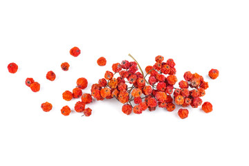 Dried rowan berries isolated on white background