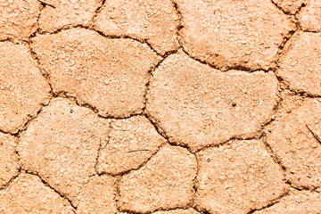 Dry mudflat closeup Wooramel Station