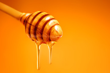 Honey dripping from wooden honey dipper on colorful yellow background. Sweet bee product for your design with copyspace. Macro.