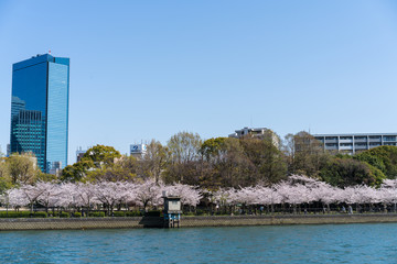 오사카의 강가 3 (Riverside of Osaka 3)