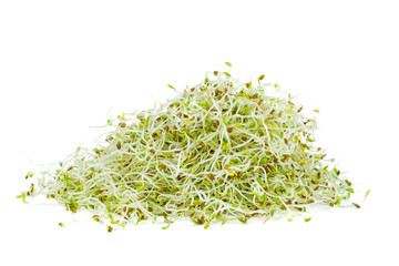 Pile of green alfalfa sprouts