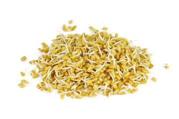 Pile of germinated fenugreek seeds isolated on white background