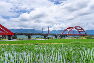 Hualien, Taiwan-August 14, 2018: A train across a m-type Red Bridge on the lush paddy fields, is Taiwan sight in East on August 14 2018 in Hualien, Taiwan