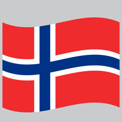 flag norway on gray background vector illustration flat