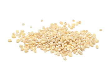 Barley on white background - isolated