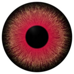 Evil dark red eyeball 3d texture, isolated white background, black pulpil with brown round and red eye