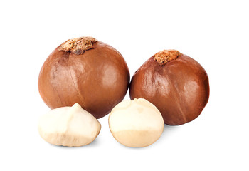 macadamia nuts on white background