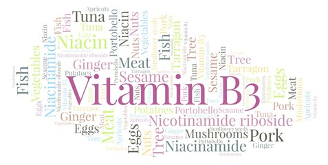 Fototapeta premium Vitamin B3 word cloud.