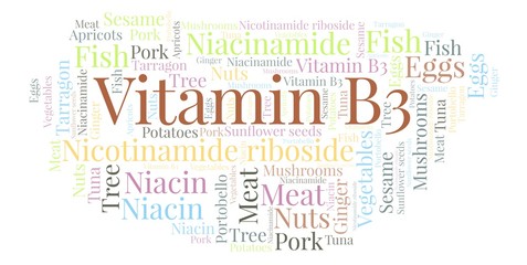 Vitamin B3 word cloud.