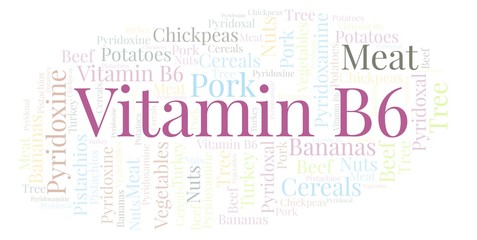 Fototapeta premium Vitamin B6 word cloud.