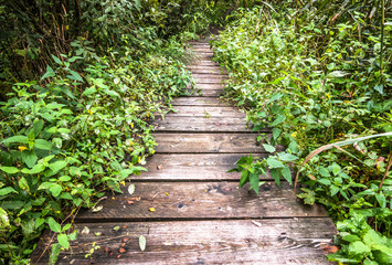 Obraz premium old footpath