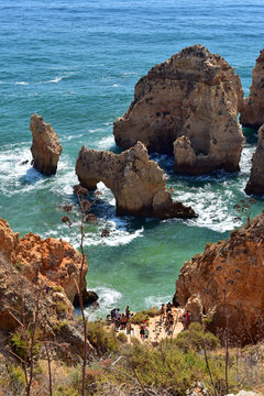 รูปภาพPiedade เลือกดูภาพถ่ายสต็อก เวกเตอร์ และวิดีโอ7,202 Adobe Stock