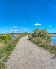 Fototapeta premium road across the marsh