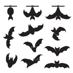 Bat in various positions set. Bat icons. Vector.