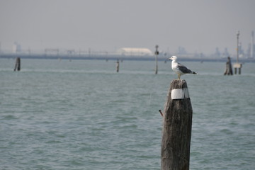 VACACIONES EN VENECIA