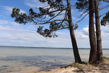 paysage lac de sanguinet dans les landes
