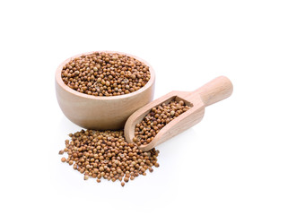 Coriander seeds  on white background