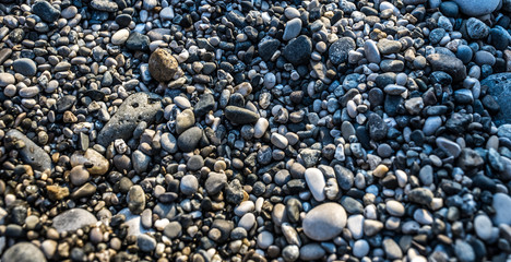 the texture of sea rocks