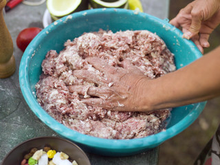 Woman Mixing Minced Meat