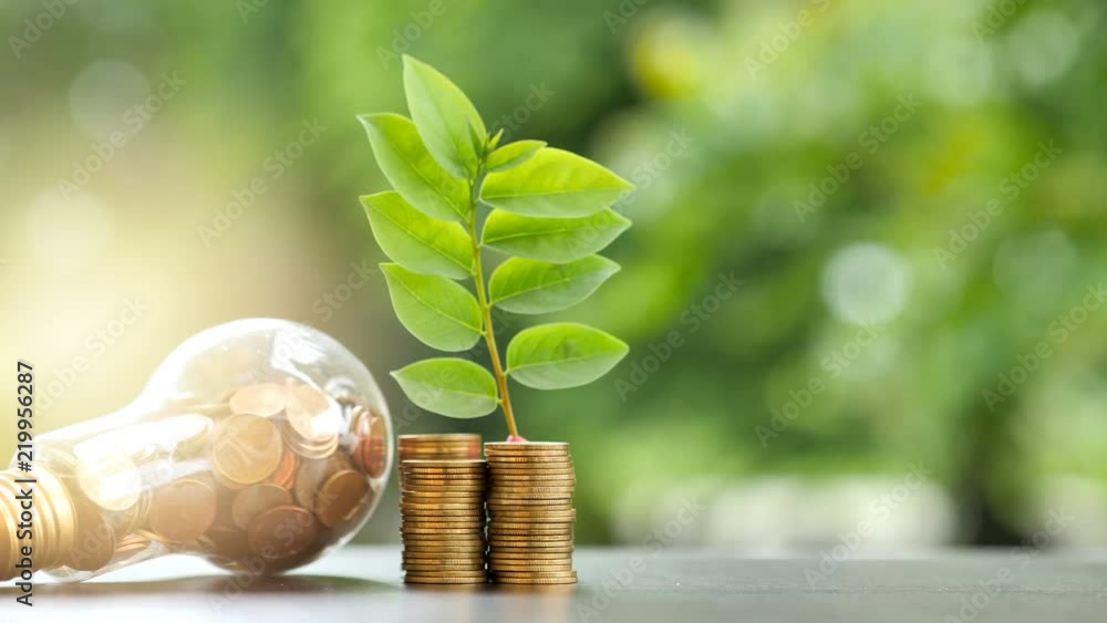 Wall mural energy saving. stacks of coins growing in light bulb and tree growing on stacks of coins and motion 