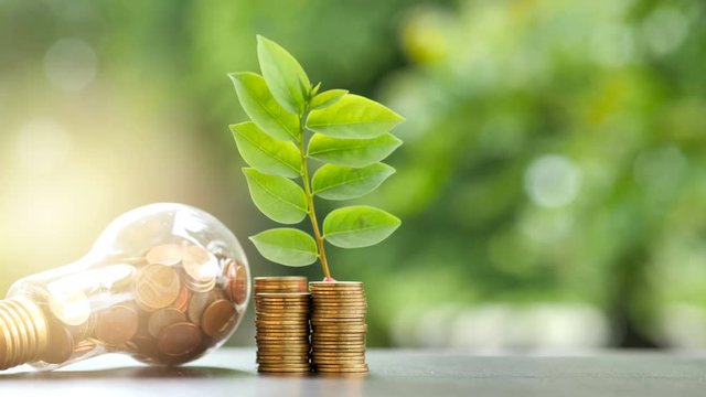 Energy saving. stacks of coins growing in light bulb and tree growing on stacks of coins and Motion tree nature background. Saving, Natural energy and financial concept. video 4K Slow motion..