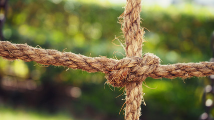 Old ship ropes with knot isolated.