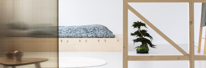 Bonsai next to wooden bed with patterned bedding in bright simple bedroom interior. Real photo