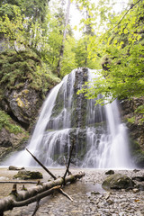 Wasserfälle im Wald - 219957454