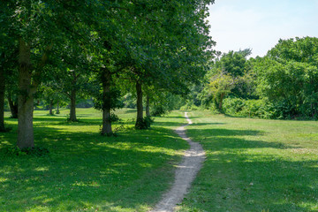 Fototapeta na wymiar Stone walking path though park