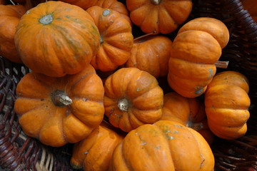 Kleine Kürbisse