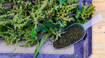 Nettle seed is herbal medicinal herb. Top view for plant and dried seeds.  Drying of nettles  to preserve the nutrients; iron and vitamin . Scientific name for this green vegetable is Urtica dioica  