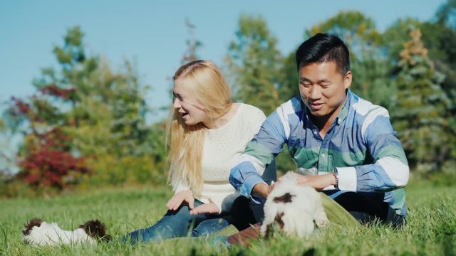 Asian man and Caucasian woman playing with puppies. Sit on the lawn in your backyard