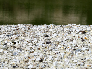 Gravel shore background. Small stones on the coast, selective focus