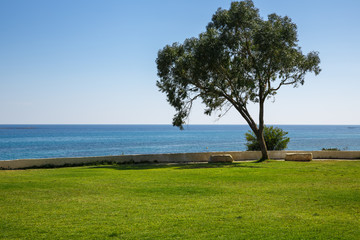 Landscape in Cyprus