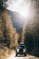 Off road car on dirt road in forest at autumn © marcin jucha