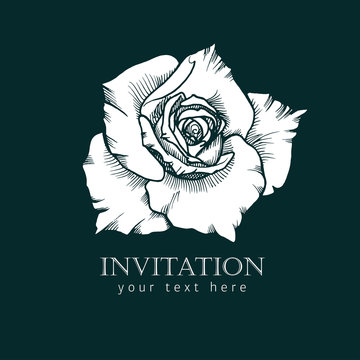 Black and white ink line style sketch flower. Hand painted Rose.