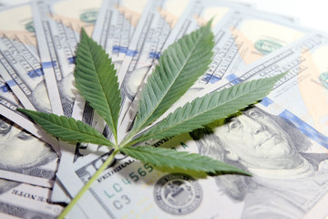 Money and marijuana. The cannabis leaf lies on the background of one hundred dollar bills. Shallow depth of field. The concept of drug trafficking or legalization.