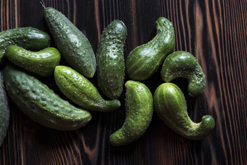 Fresh green cucumber with flowering dill on a wooden background