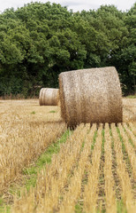 Hay bale in UK field