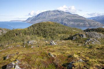 Fototapeta na wymiar Happy hiking mountain Salbuhatten in Nordland county Northern Norway