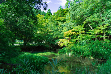比叡山(Hiei Mountain)