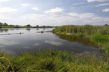 Überschwemmungsgebiet im Natura 2000 Gebiet 