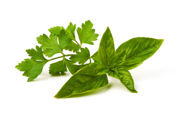 Fresh green parsley leaf with basil leaf, isolated on white background.