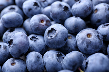 Fresh ripe blueberries, closeup