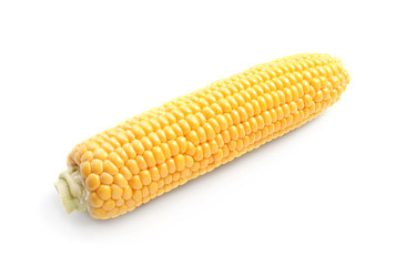 Fresh corn cob on white background
