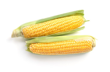 Fresh corn cobs on white background