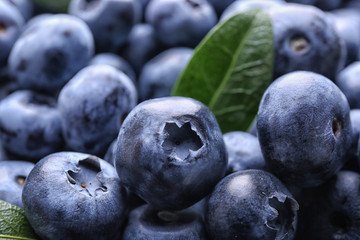 Fresh ripe blueberries, closeup