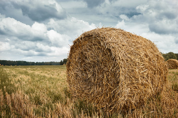 haystacks in summer field, beautiful landscape